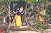 Snow Whites Discovery - From Disney Snow White and the Seven Dwarfs