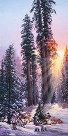 The Perfect Tree Giclee on Canvas