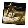 Road To the Cross Gallery Wrapped Canvas Open Edition