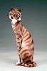 Armani&nbsp;CAT - MEDIUM