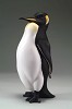 Armani_PENGUIN