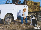 Ann  Hanson_THE LAST STRAW