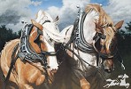 Adeline Halvorson_THUNDERING HOOVES
