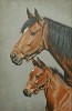 Adeline Halvorson_PRIDE AND JOY