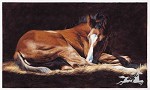 Adeline Halvorson_GOOD AS GOLD