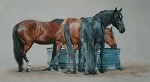 Adeline Halvorson_SIMPLE PLEASURES