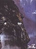 Anne Page_MOUNTAIN GOATS ON THE EDGE
