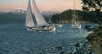 Christopher Blossom&nbsp;WINDWARD LIMITED EDITION PRINT