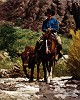 Bill  Owen_LEADIN IN A MAVERICK