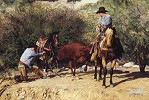 Bill  Owen_TAILIN HER DOWN 