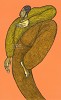 Charles Bibbs_High Steppin Giclee