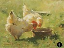 Leonard Wren_Spring Chickens