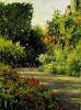 Leonard Wren_A Garden in Normandy