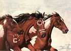 Diana  Beach_FREEDOM