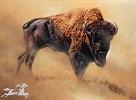 Edward  Aldrich_RULER OF THE PLAINS