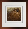 Govinder Nazran&nbsp;Sammy the Snitch Giclee paper Giclee paper Framed