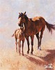 Jim  Rey_MUSTANG MAMA