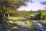 Larry Dyke_Evening Shadows by Larry Dyke Print  Signed & Numbered
