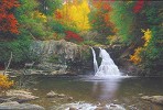 Larry Dyke_Autumn in the Smokies by Larry Dyke Canvas  Artist Proof