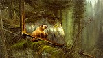 MICHAEL_COLEMAN&nbsp;IN THE NORTH WOODS - GRIZZLY