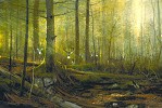 MICHAEL_COLEMAN&nbsp;EYES OF THE FOREST-WHITETAIL DEER