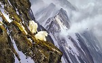 MICHAEL_COLEMAN&nbsp;IN THE CLIFFS - ROCKY MOUNTAIN GOATS
