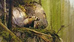 MICHAEL_COLEMAN&nbsp;NO CONTEST - GRIZZLIES