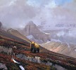 MICHAEL_COLEMAN&nbsp;IN THE CANADIAN ROCKIES - GRIZZLY