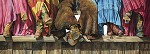 Nelson Boren&nbsp;SITTIN' PRETTY, LIMITED EDITION PRINT