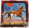 Nancy Cawdrey_STILLWATER COLT