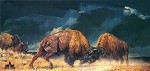 Nancy Glazier&nbsp;Rolling Thunder by Nancy Glazier Giclee on Canvas  Artist Proof