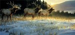 Nancy Glazier&nbsp;Elk Ridge by Nancy Glazier Giclee on Canvas  Artist Proof