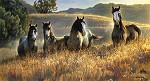 Nancy Glazier&nbsp;Amazing Grays III by Nancy Glazier Giclee on Canvas  Artist Proof