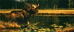 Nancy Glazier&nbsp;Water World by Nancy Glazier Giclee on Canvas  Artist Proof