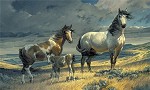 Nancy Glazier&nbsp;Windy Ridge by Nancy Glazier Canvas  Artist Proof