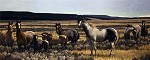 Nancy Glazier&nbsp;Amazing Grays V by Nancy Glazier Canvas  Artist Proof