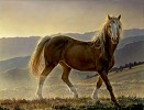 Nancy Glazier&nbsp;Blaze by Nancy Glazier Canvas  Artist Proof