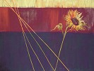 Nel Whatmore&nbsp;Walk Tall Giclee paper Giclee paper Framed