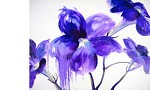 Nel Whatmore&nbsp;Moonlight Becomes You Giclee paper Giclee paper Framed