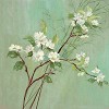 Nel Whatmore&nbsp;Orientalis I Giclee paper Giclee paper Framed