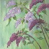 Nel Whatmore&nbsp;Orientalis II Giclee paper Giclee paper Framed