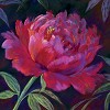 Nel Whatmore&nbsp;Worth Waiting For Giclee paper Giclee paper Framed