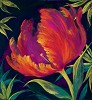 Nel Whatmore&nbsp;Walk On The Wild Side Giclee paper Giclee paper Framed