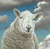 Paul James_Barbara Giclee paper Giclee paper Framed