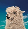 Paul James_Britney Giclee paper Giclee paper Framed