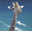 Paul James_Jarvis Giclee paper Giclee paper Framed