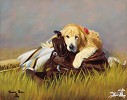 Pamela Parker_I SHOULD HAVE BEEN A COWBOY 