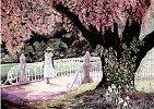 Gamboa_Summer Lane