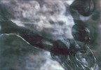 Paul Goodnight&nbsp;I Can Fly