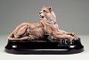 Lioness - Ltd. Ed. 950